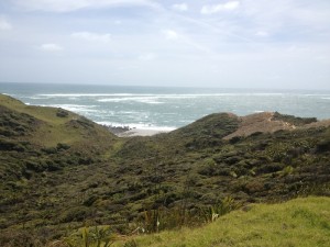 Aotearoa, 2014