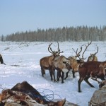 Snowchange and Partners in Video