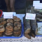 Fish of Khanty, 2014.