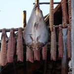 Traditional Knowledge in Siberia