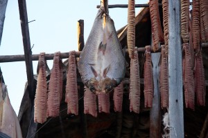 Kolyma 