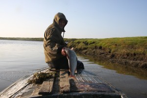 Science and Siberia