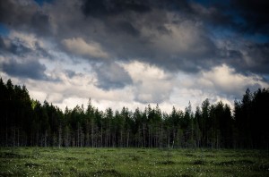 finland-marshmire