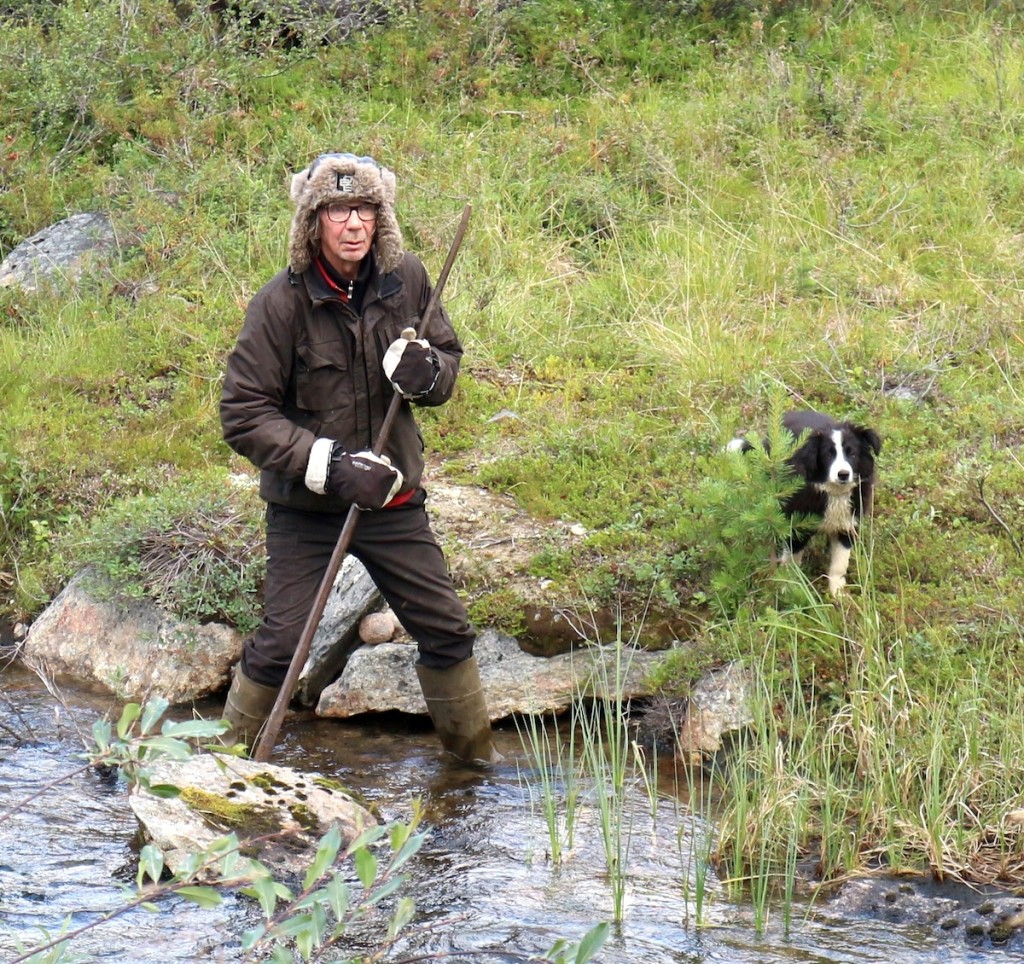 Risto Semenoff, a Skolt Saami river restoration specialist.