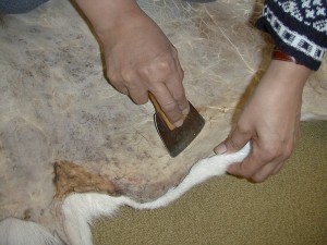Leah working on the caribou skin - a clip from the online exhibition. 