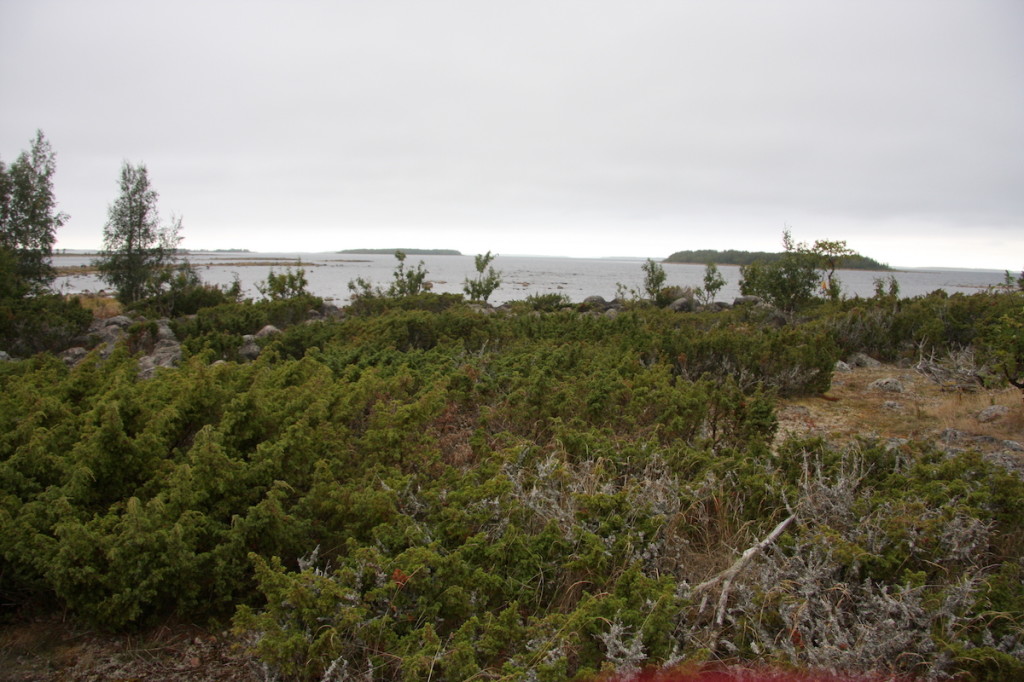 Low lying islands of the North Baltic