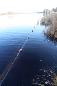 Upper part of a seine