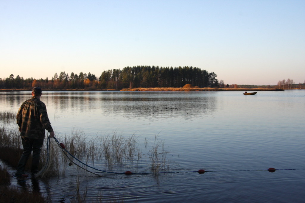 Seiners of Koitajoki