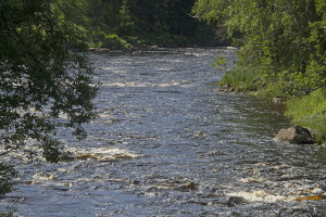 Koitajoki at Möhkö.