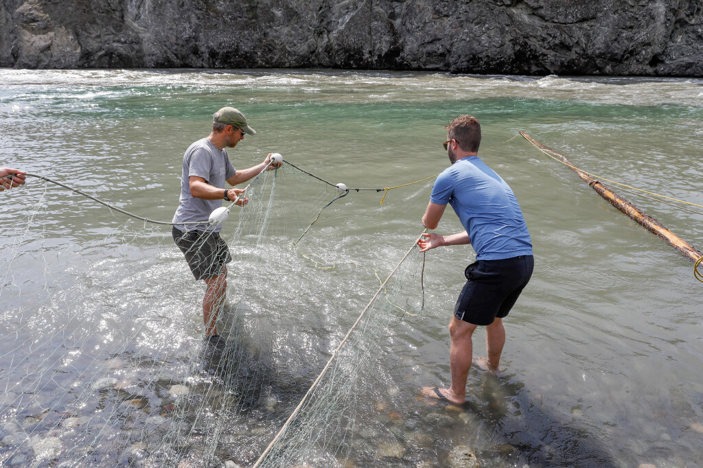 Checking the nets on Stikine. Photo: Mika Honkalinna