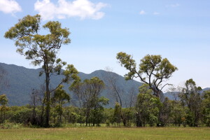 Wet Tropics, NE Australia