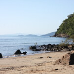 Coral Sea