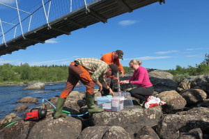 Microplastics team at work