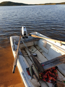 Control fisheries for whitefish, lake Kirakkajärvi.
